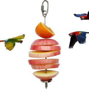 Bird Food Holder, Bird Feeder Toy, Foraging Toy, Bird Food Treat Skewer, Stainless Steel Parrot Fruit Vegetable Stick Holder (L)