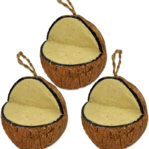 XL Peanut Suet Coconut Feeder, 3 Pack, Wild Bird Food, Butter for Birds, Hanging Feeder, Suet for Birds