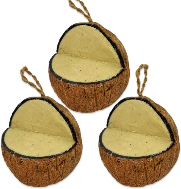 XL Peanut Suet Coconut Feeder, 3 Pack, Wild Bird Food, Butter for Birds, Hanging Feeder, Suet for Birds