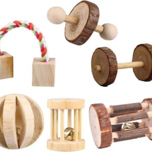 CCCYMM 6 Pcs Pet Natural Wooden Chew Toys Dumbells Exercise Bell Molar Toy for Parrot, Rabbit, Chinchilla, Guinea Pig, Hamster Small Animals