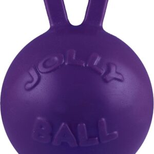 Jolly Pets Tug-n-Toss Heavy Duty Dog Toy Ball with Handle, 4.5 Inches/Small, Purple