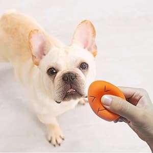 Soft Rubber Sound Toys for Interactive Fetch Play 