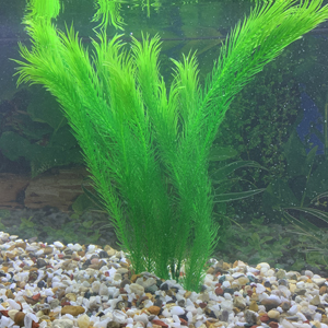 Realistic looking fish tank reeds in fish tank