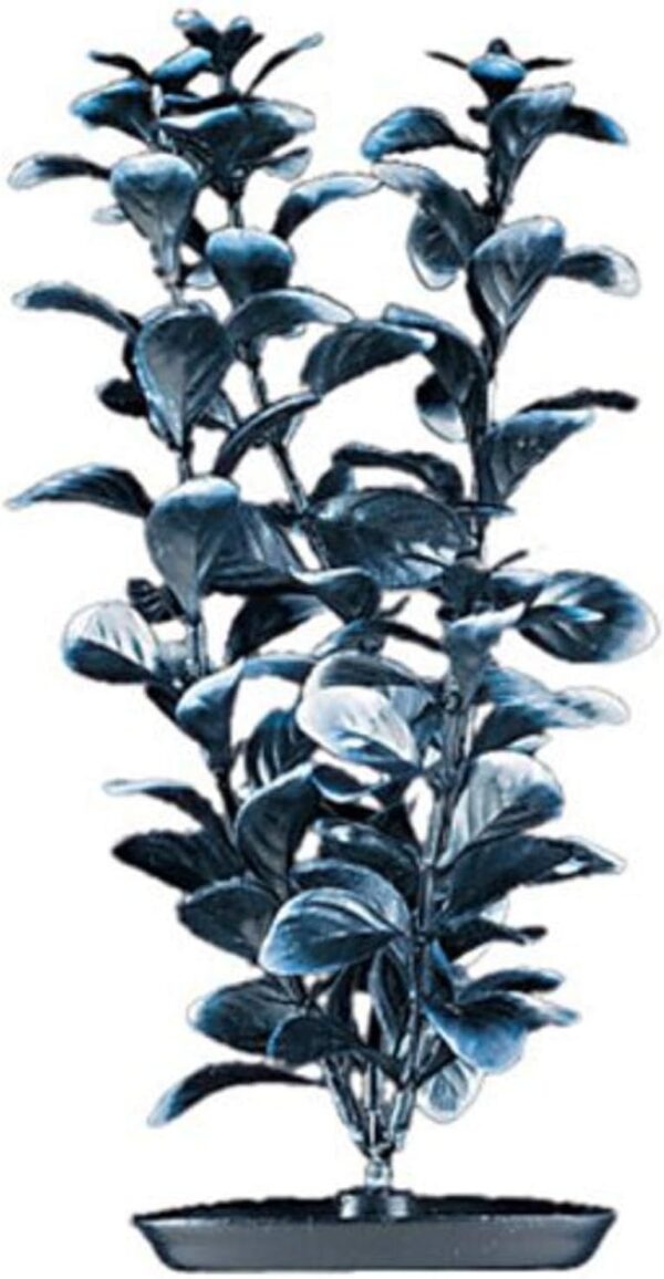 Marina Pearlscaper PP579 Ludwigia Plant, Black, 5-Inch