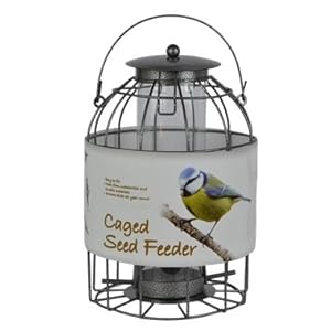 dome silver cage feeder