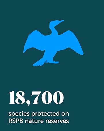 18,700 species protected on RSPB nature reserves