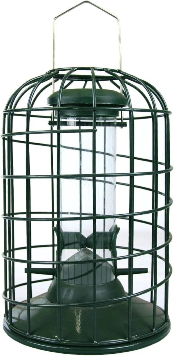 RSPB - Bird Seed Feeder, Hanging Bird Feeder, Easy to Clean, Caged and Squirrel Proof, Suitable for Year-Round Feeding, Quick Assembly, Durable