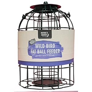 fat balls, fat ball feeder, bird care, wildlide care, dispenser, bird, swallow, finch, sparrow