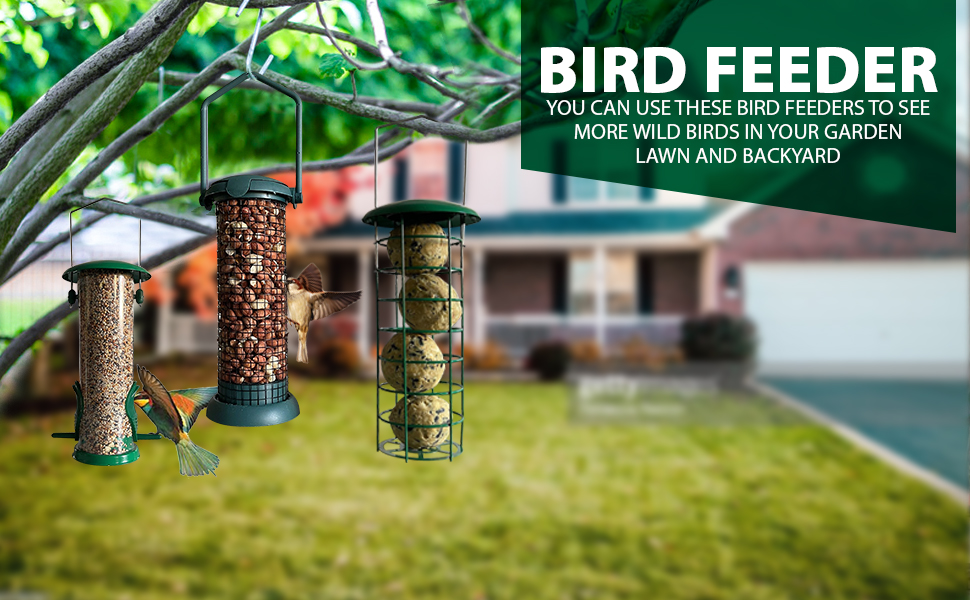 The Ultimate Bird Feeder