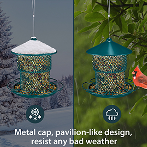 Unique Designed Wild Bird Feeder 