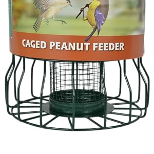 Caged Peanut Feeder Base