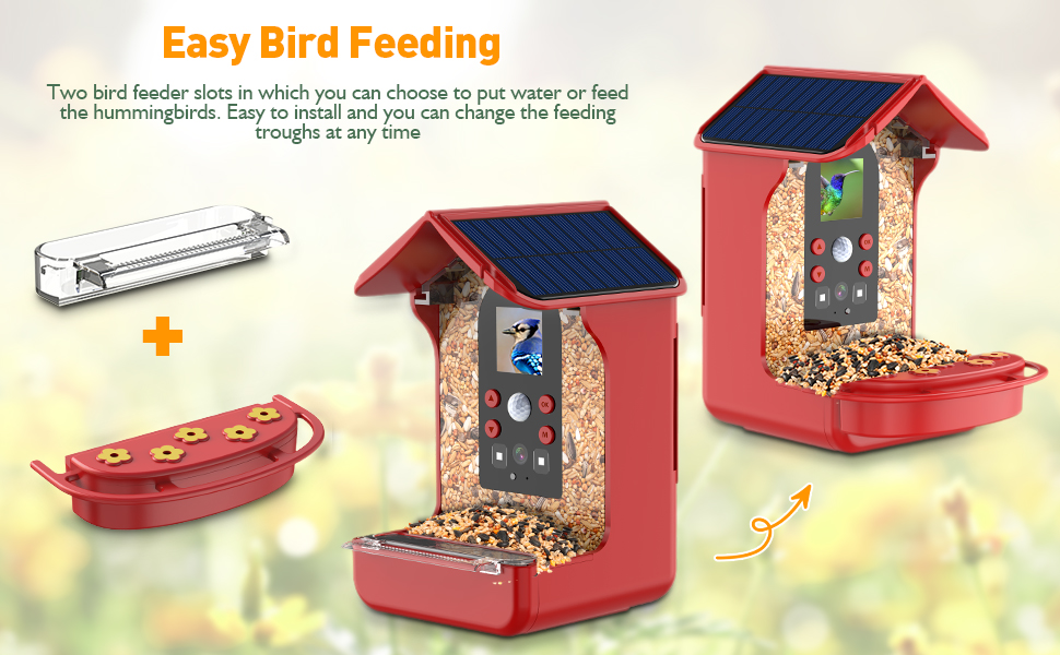 bird feeder