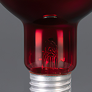 Infrared Reptile Heat Lamp Bulb