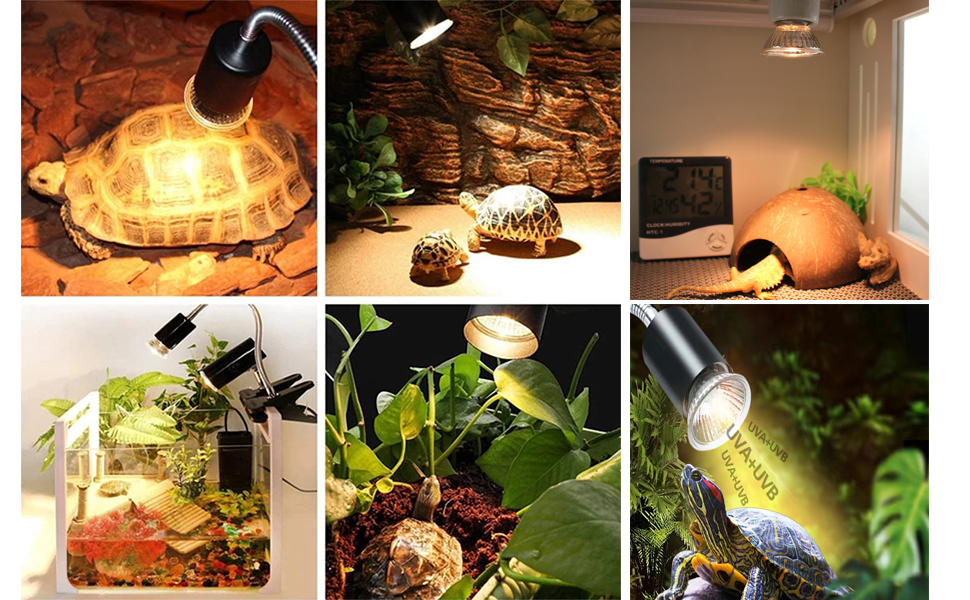 yw Reptile Heat Lamp Bulb Full Spectrum UVA uvb led turtle lamp Sun Light for Reptile and Amphibian