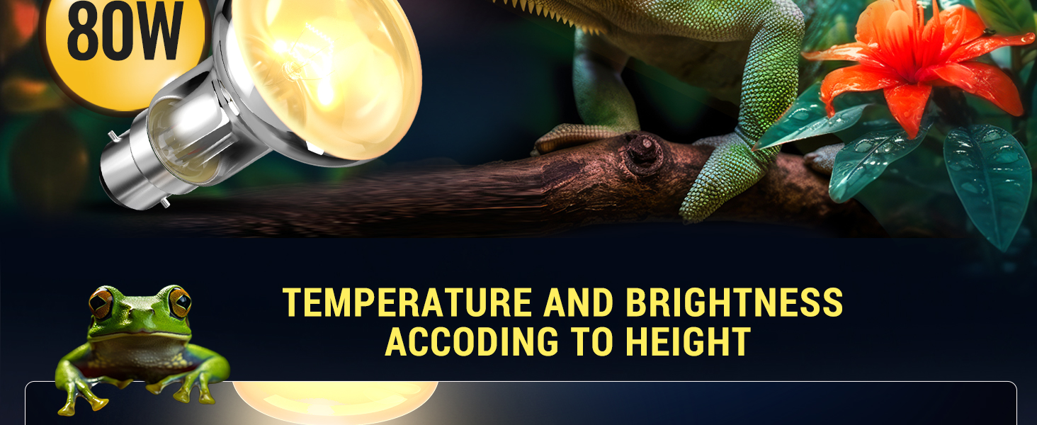 Basking Lamp B22 80W Reptile Heat Lamp