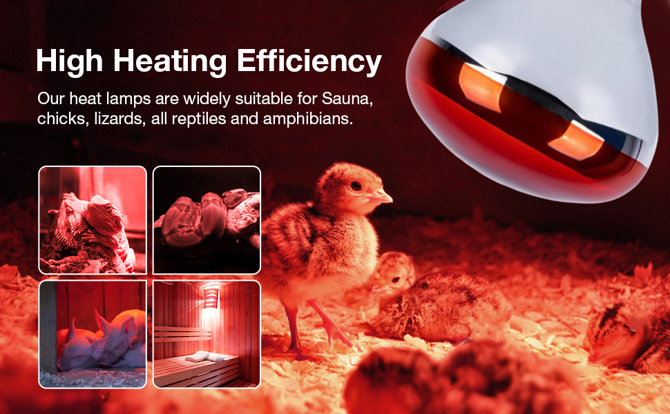 heat lamp bulb