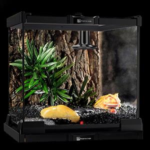 heat lamp for reptiles