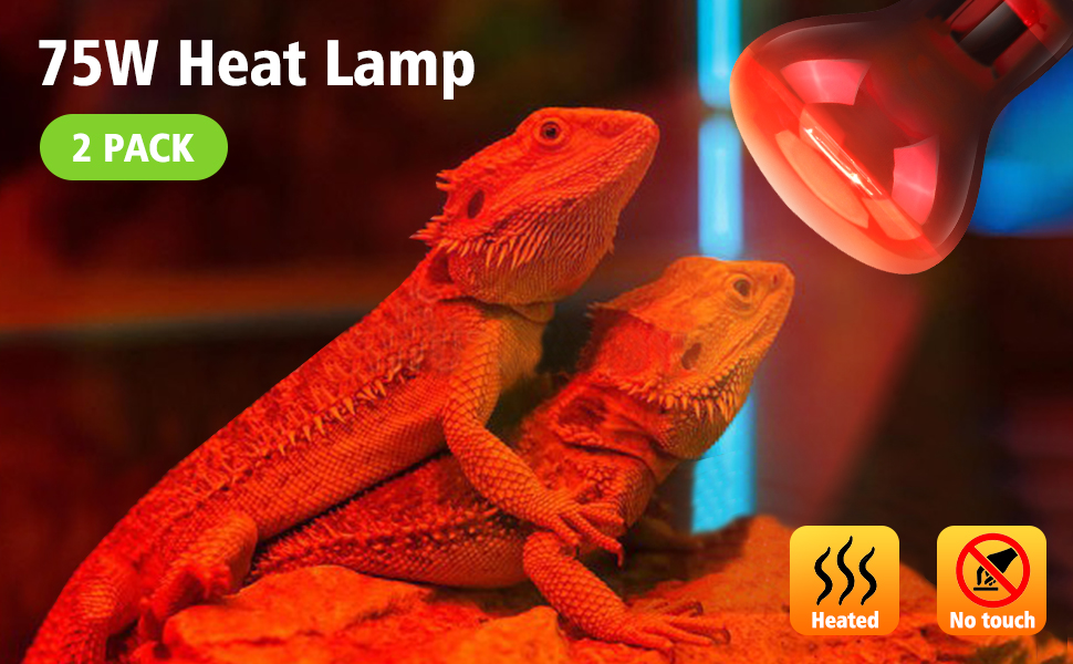 Heat Lamp Bulbs