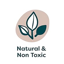 Words Natural and non toxic with plant icon