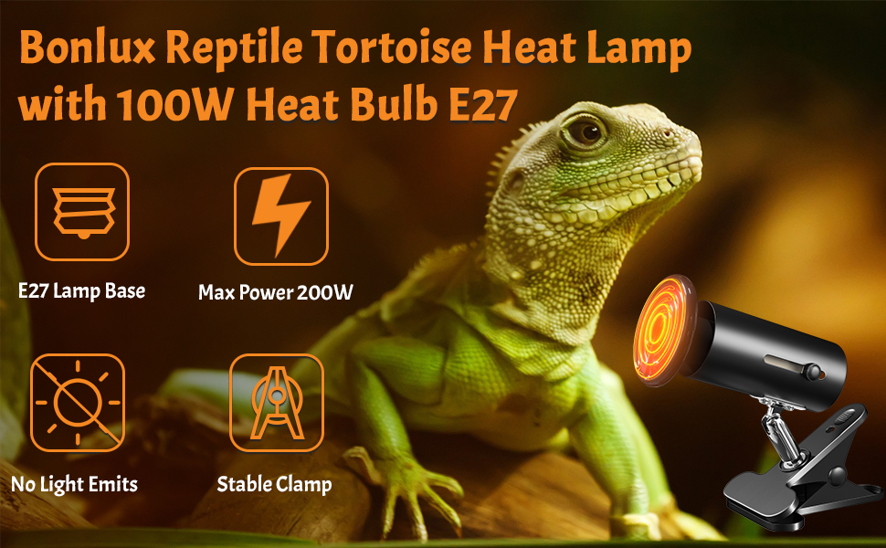 Reptile Tortoise Heat Lamp