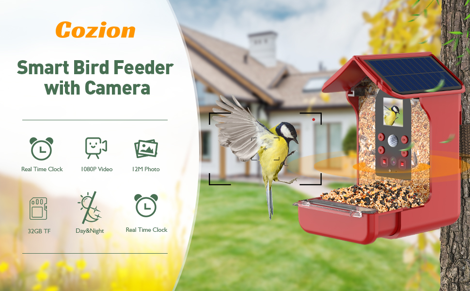 bird feeder