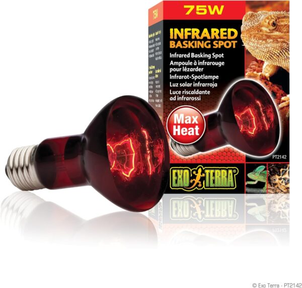 Exo Terra Infrared Basking Spot Lamp, 75 W