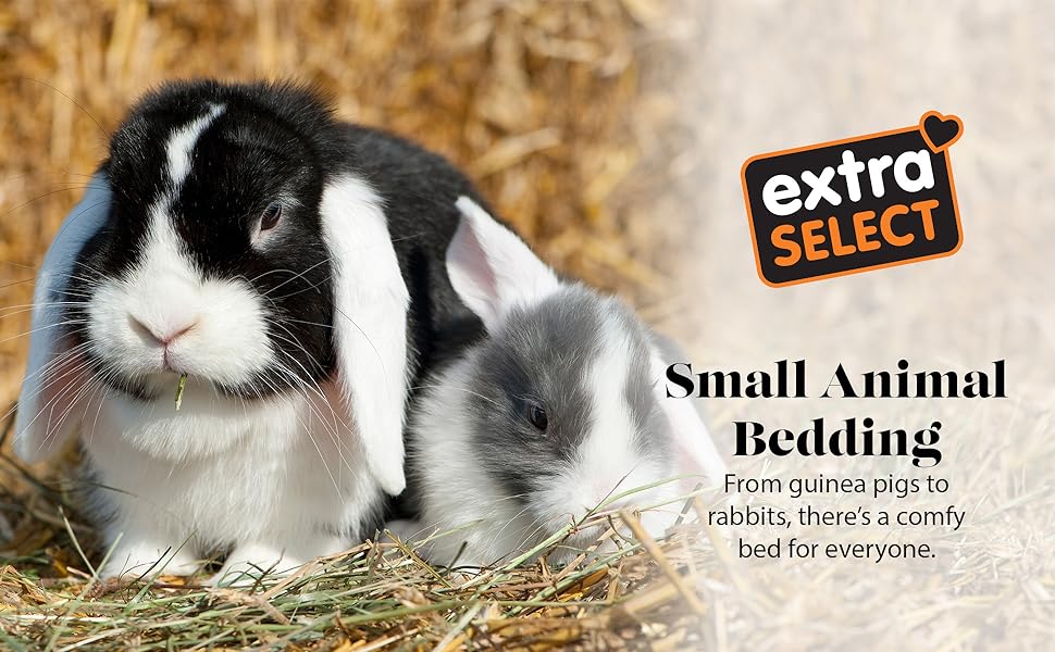 A pair of rabbits laying on the soft and absorbent barley straw representing small animal bedding. 