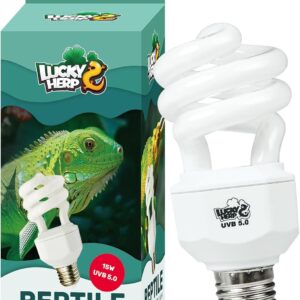 LUCKY HERP Reptile UVA UVB Lamp Bulb, 15W 5.0 UVB Light Reptile Kit, Terrarium & Vivarium UVB Fluorescent Light Bulb for Tortoise, Lizard, Bearded Dragon