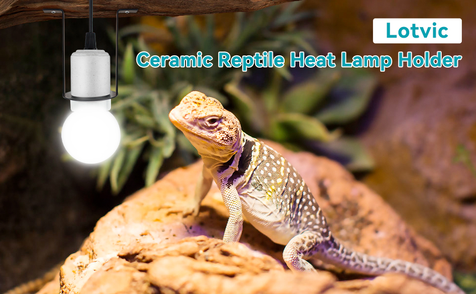 Reptile Heat Lamp Holder