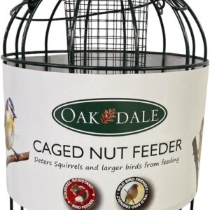 Oakdale Squirrel Resistant Peanut Bird Feeder