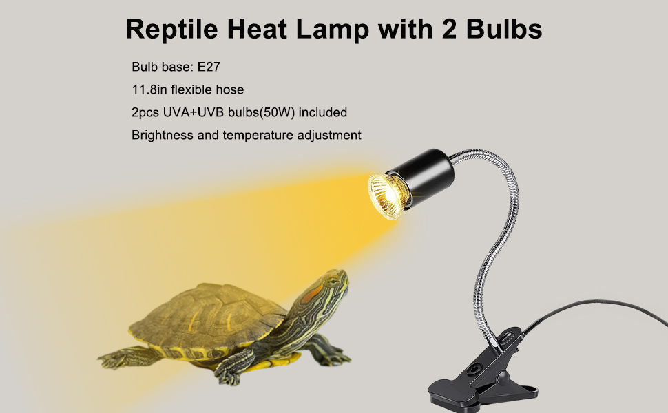 Tortoise Heat Lamp