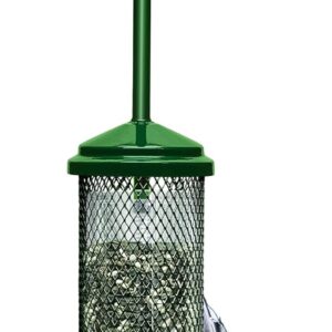 Squirrel Buster Mini Squirrel-proof Bird Feeder w/4 Metal Perches, 0.98-pound Seed Capacity