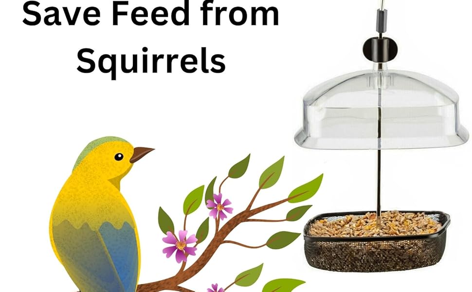 bird feeders bird feeders hanging station bird feeder squirrel proof bird feeder