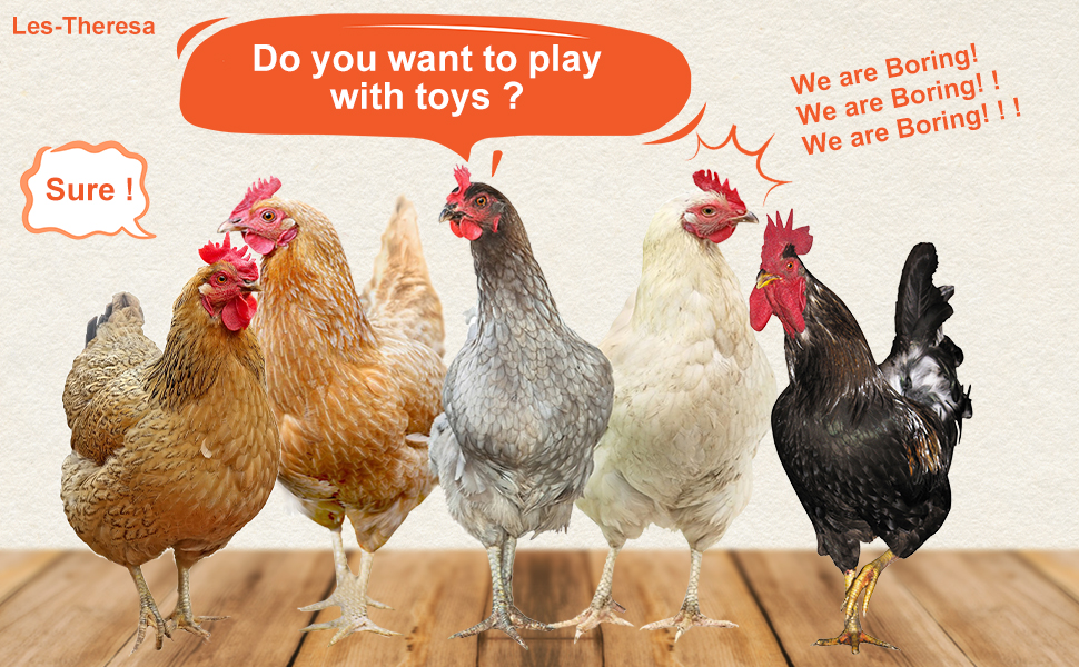 Chicken Toys For Hens