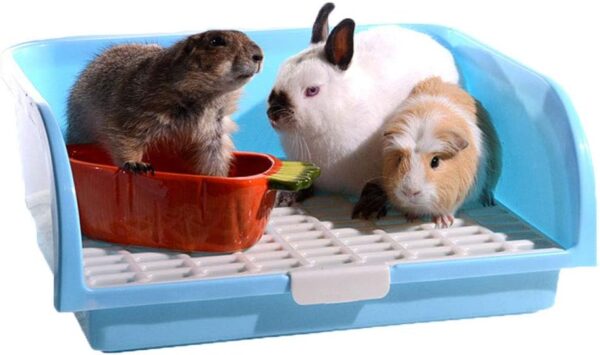 Oncpcare Super Large Rabbit Litter Box, Small Animal Restroom Square Rabbit Litter Toilet Chinchilla Potty Trainer Guinea Pig Litter Tray for Mink Squirrel Weasel