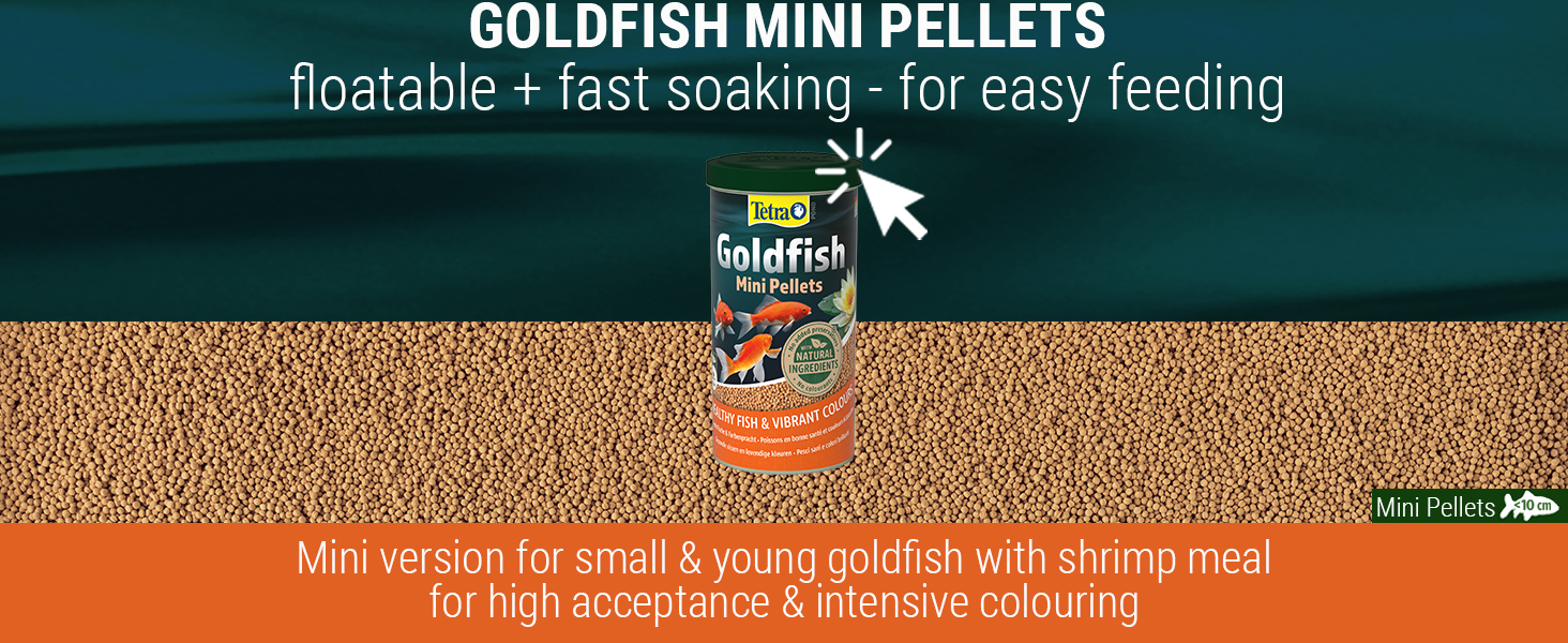 Goldfish Key Benefits