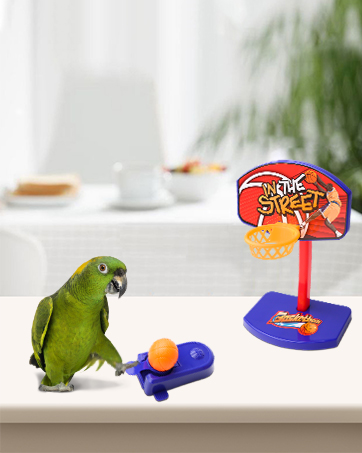 Bird Parrots Toys Parakeet Toys Interactive Bird Training Toy Set with Parakeet Parrot Swing