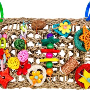 Parrot Toys BudgieToys and Accessories, Bird Toys Foraging Wall with Various Colorful Cockatiel Chewing Toys, Edible Seagrass Woven Climbing Hammock Mat for African Grey Parakeets Conures Lovebirds