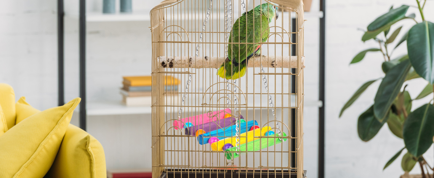 budgie toys