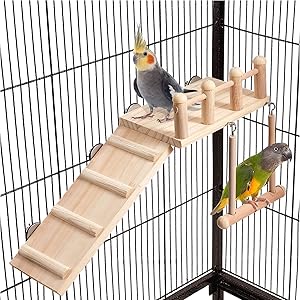 Hamster Bird Perches 2