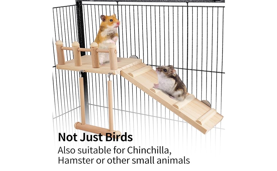 Hamster Bird Perches 6