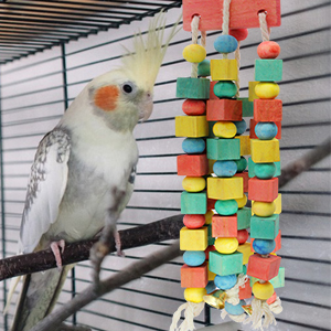 parrot toys