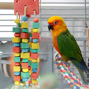 parrot toys