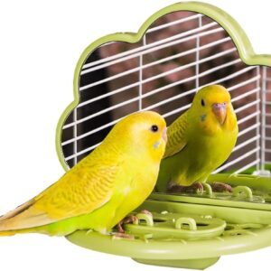 septillar Bird Mirror with Perch Stand, Bird Toys for Parakeet Cockatiel Conure Lovebirds Finch Canaries (Green)