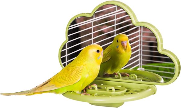 septillar Bird Mirror with Perch Stand, Bird Toys for Parakeet Cockatiel Conure Lovebirds Finch Canaries (Green)