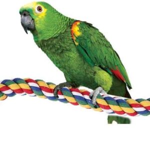 Bird Rope Perches, Bird Spiral Rope Perch, Cotton Parrot Swing Climbing Standing Toys Parrot Cage Toys(S)