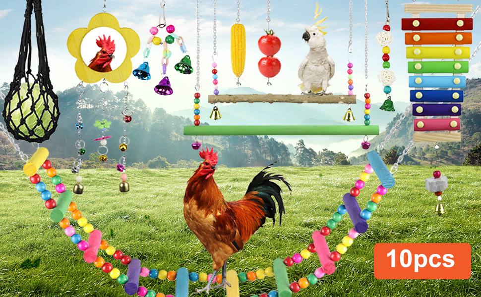 Chicken Toys For Hens