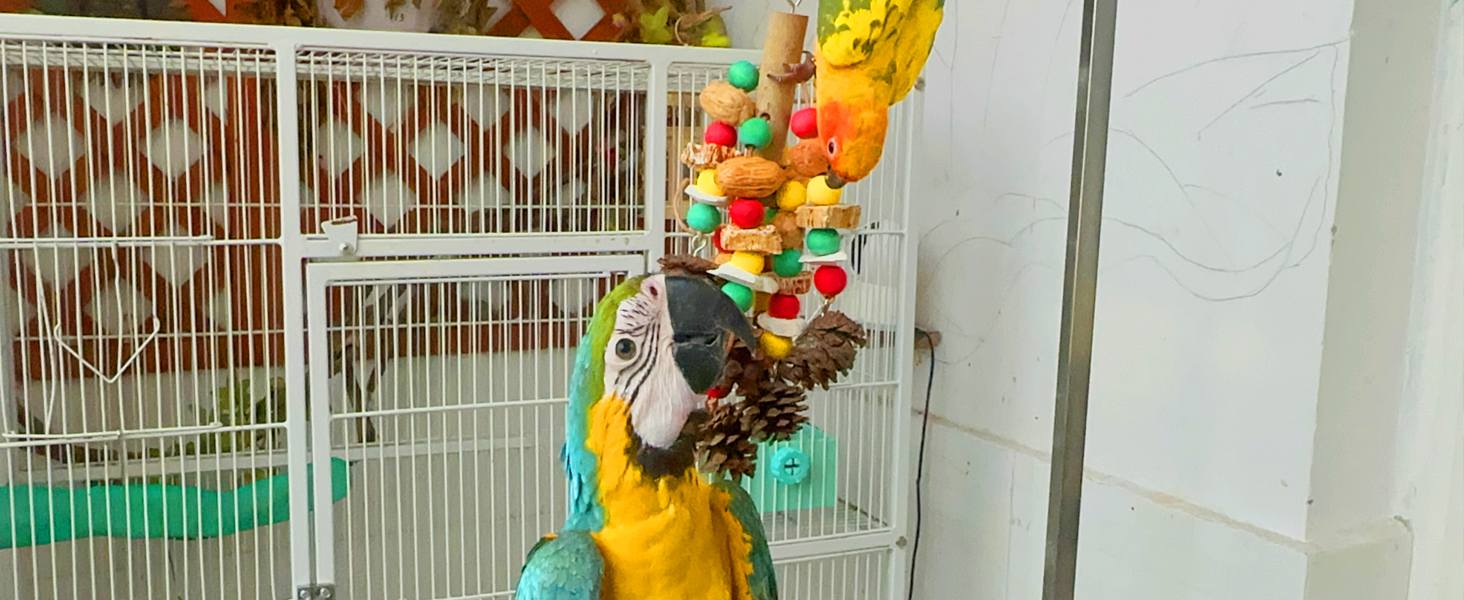 parrot toys chewing and foraging toys caged bird toys african grey parrot toys colored wood block