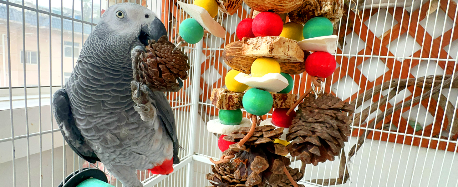 parrot toys chewing and foraging toys caged bird toys african grey parrot toys colored wood block