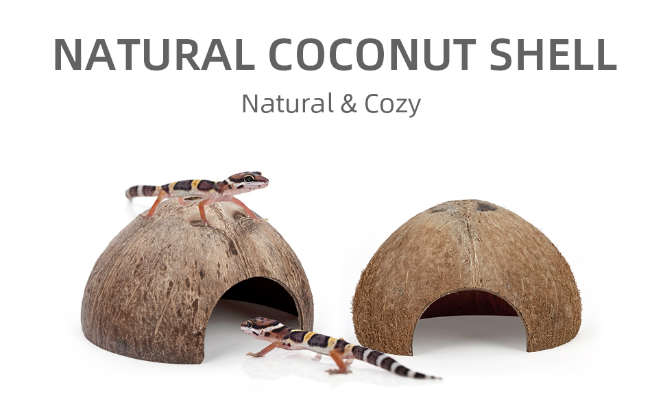 Natural Coconut Shell